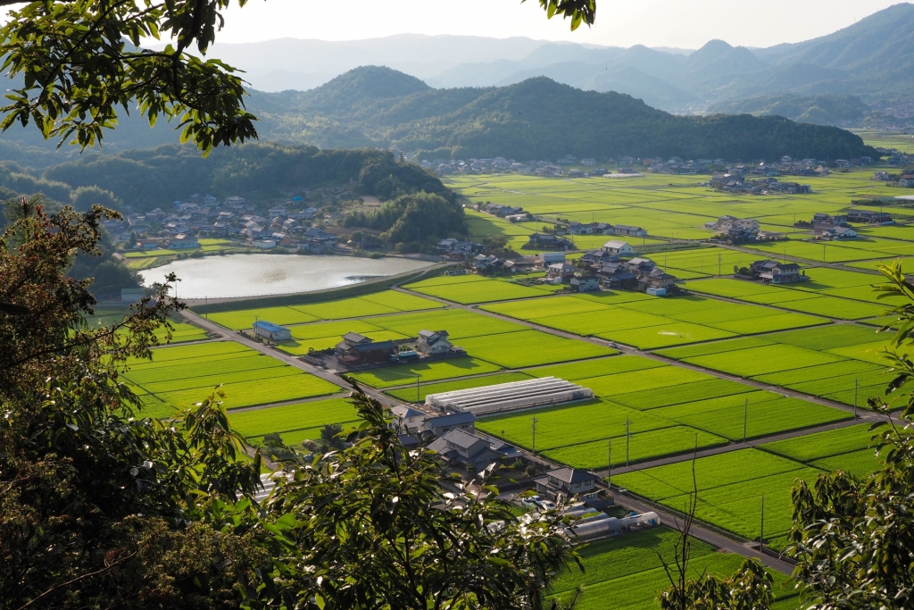 調整区域でも売却可能？建て替えも出来るの？